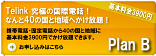 telink plan B 基本料金3,900円国際電話かけ放題